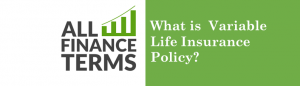 Definition for variable-life-insurance-policy